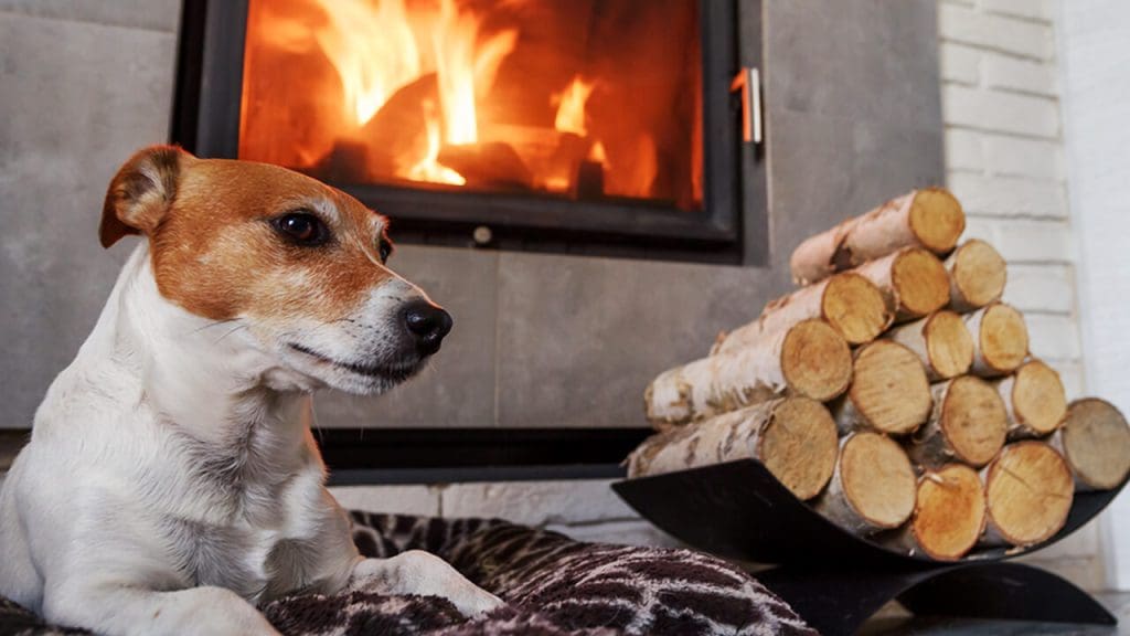 Improve Your Home Décor With A Wood Heater